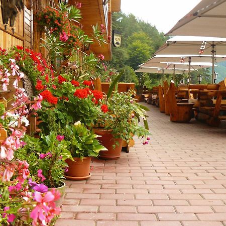 Pension Curmatura Stezii Răşinari Exteriér fotografie