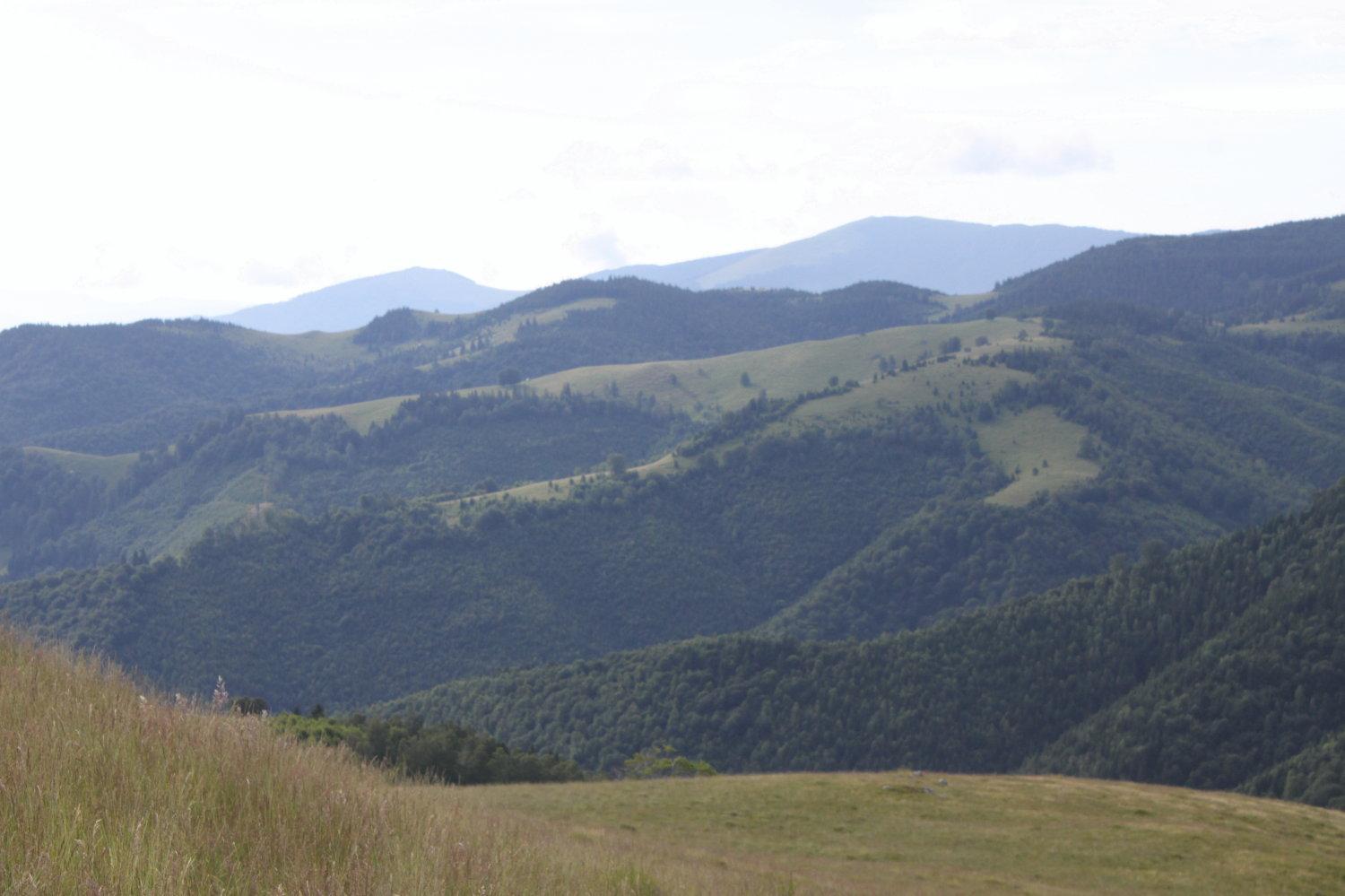 Pension Curmatura Stezii Răşinari Exteriér fotografie