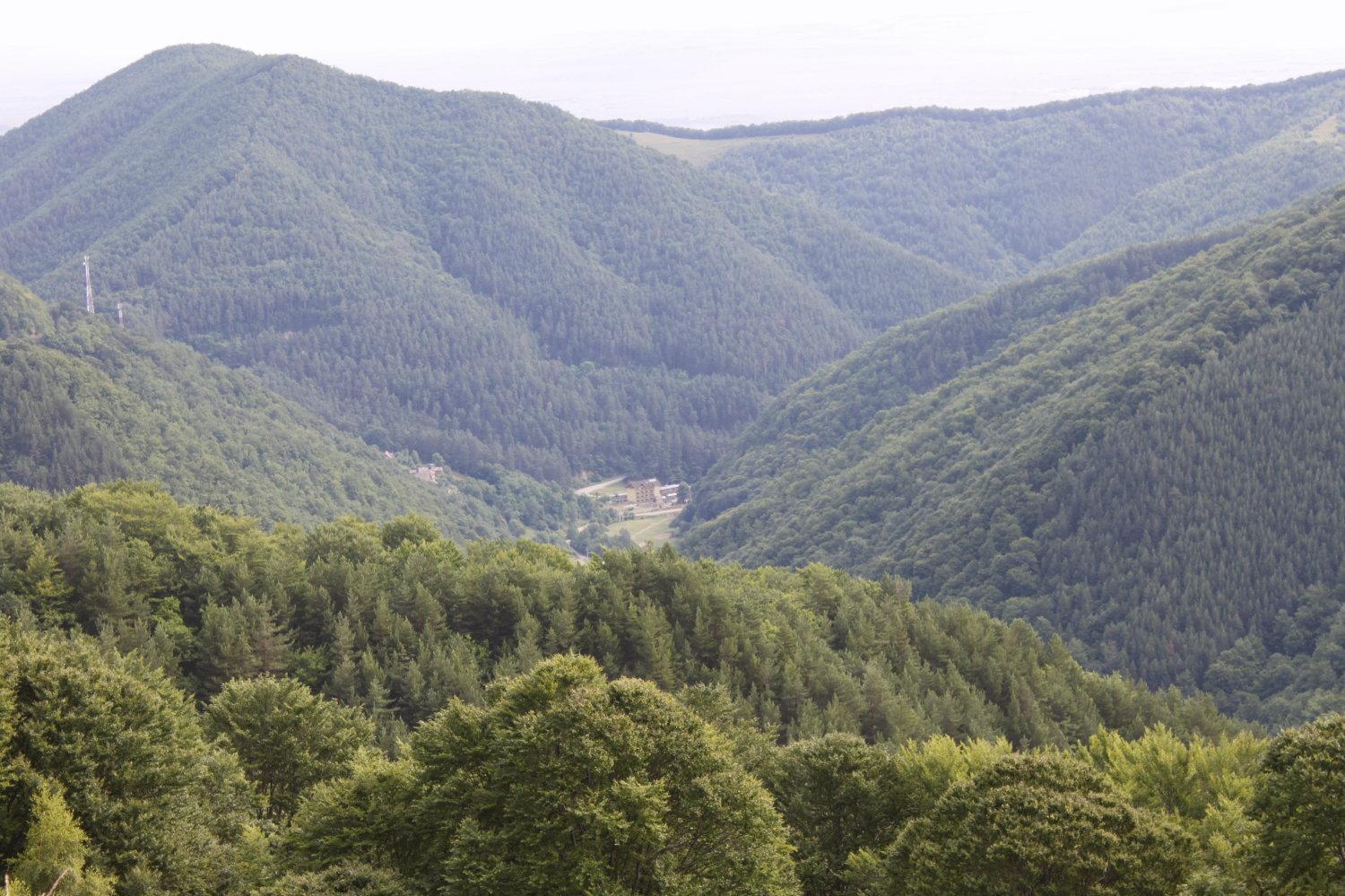 Pension Curmatura Stezii Răşinari Exteriér fotografie