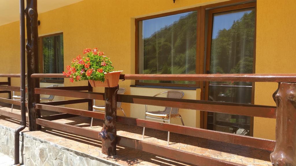 Pension Curmatura Stezii Răşinari Exteriér fotografie