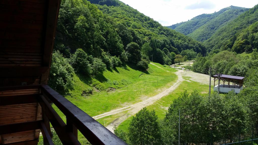 Pension Curmatura Stezii Răşinari Exteriér fotografie
